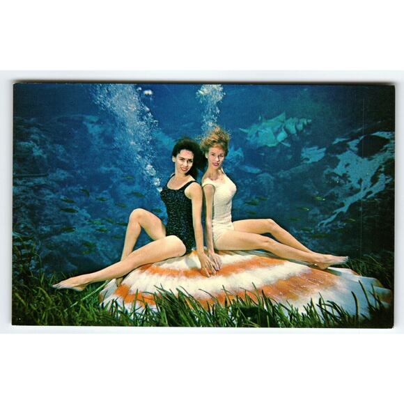 Weeki Wachee Springs Mermaid Postcard Two Swimsuit Women Underwater Show Florida - Picture 1 of 2